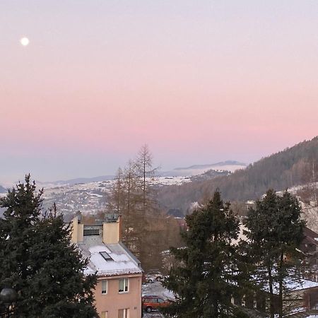 Apartament Dzika Paproc Шавница Экстерьер фото