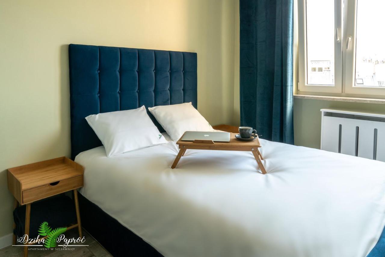 Apartament Dzika Paproc Шавница Экстерьер фото