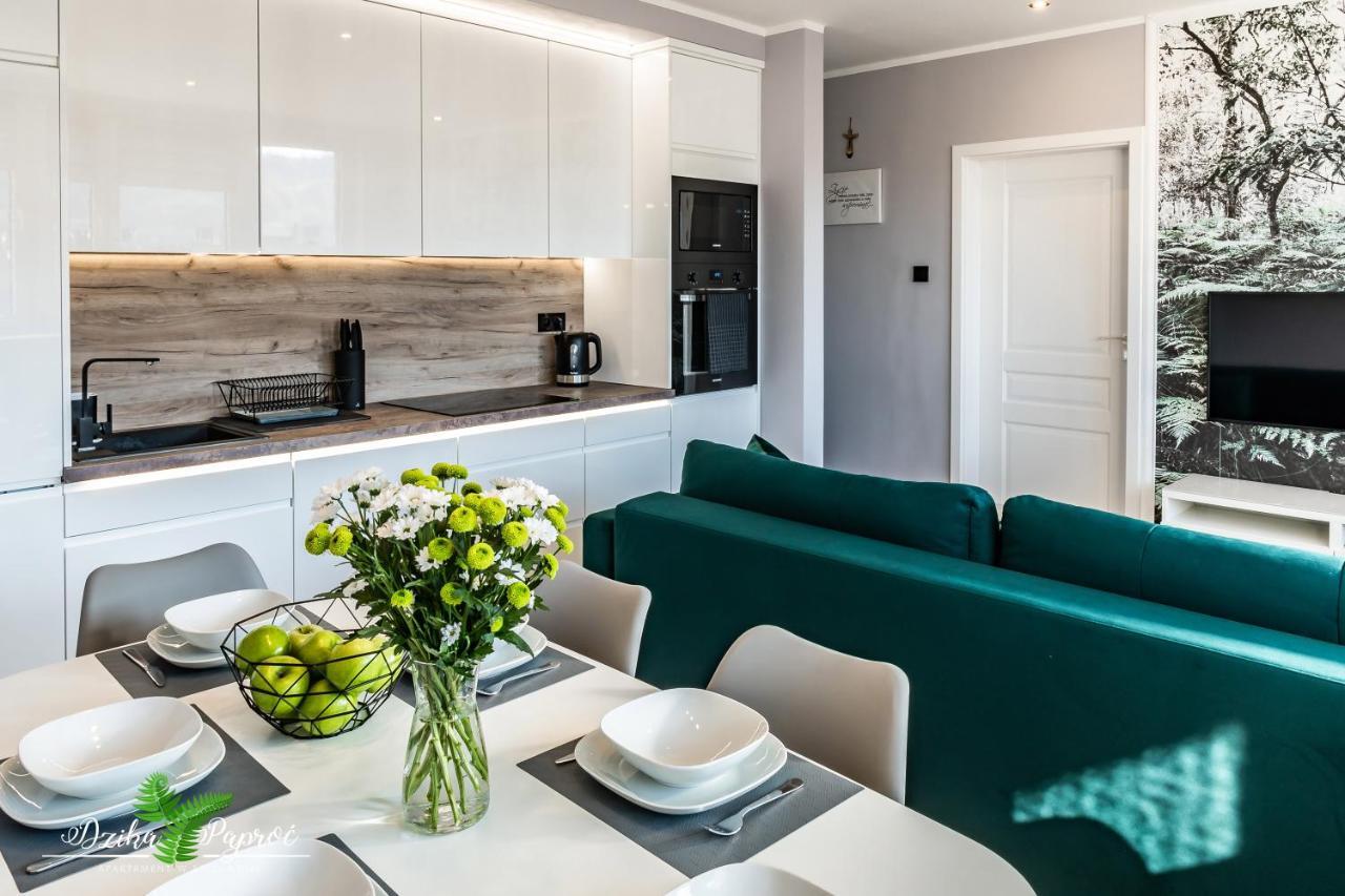 Apartament Dzika Paproc Шавница Экстерьер фото