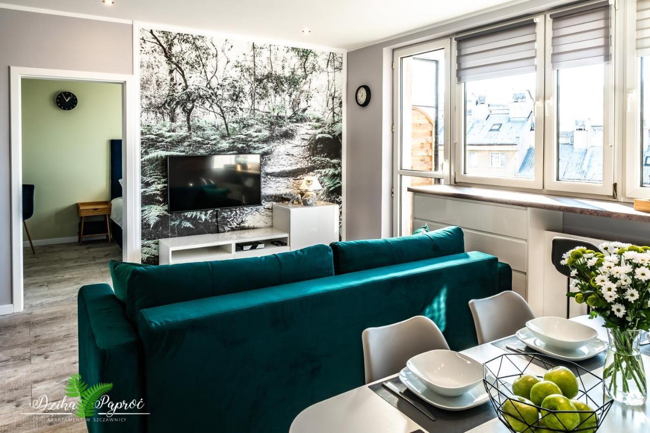 Apartament Dzika Paproc Шавница Экстерьер фото