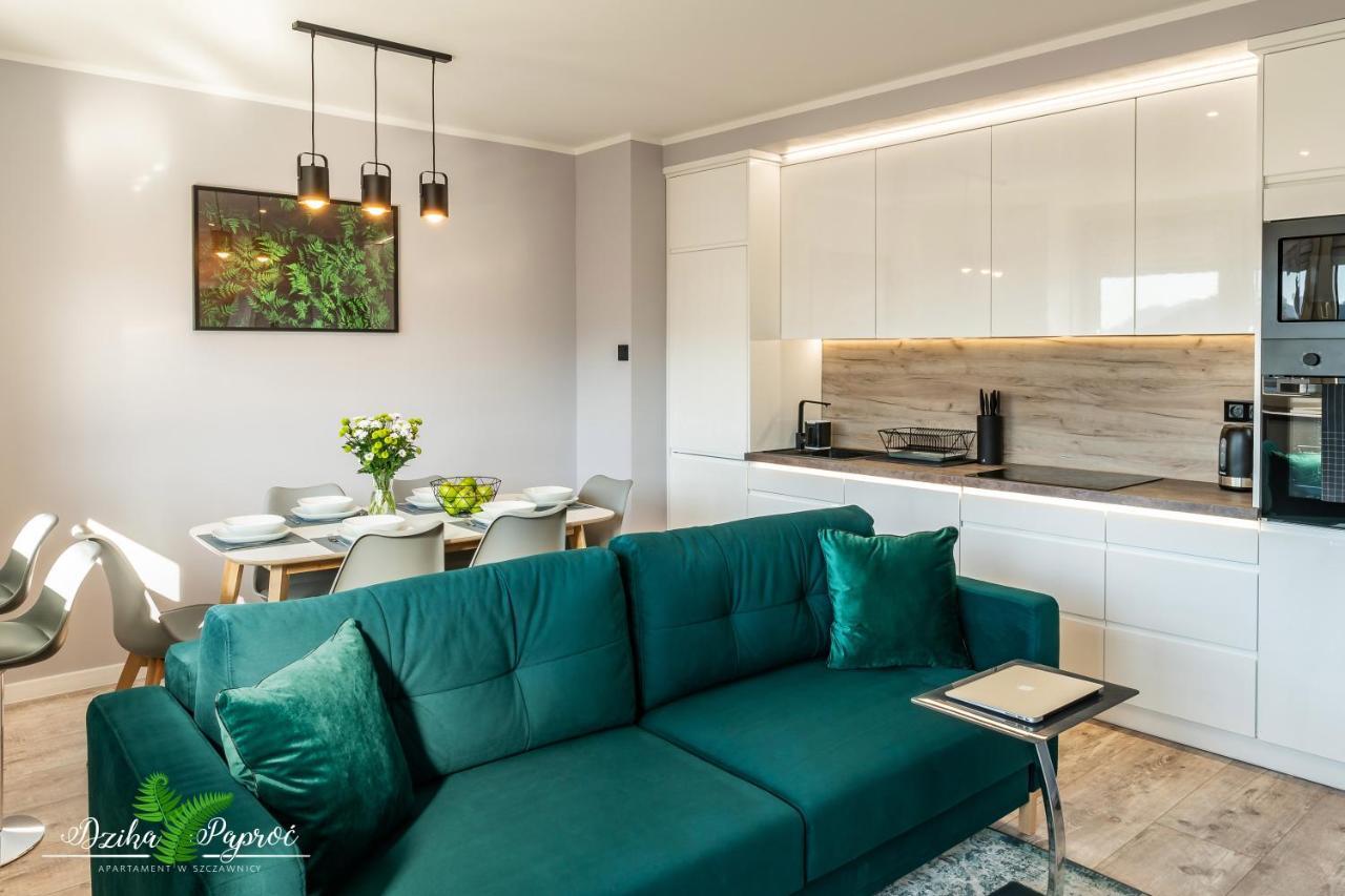 Apartament Dzika Paproc Шавница Экстерьер фото