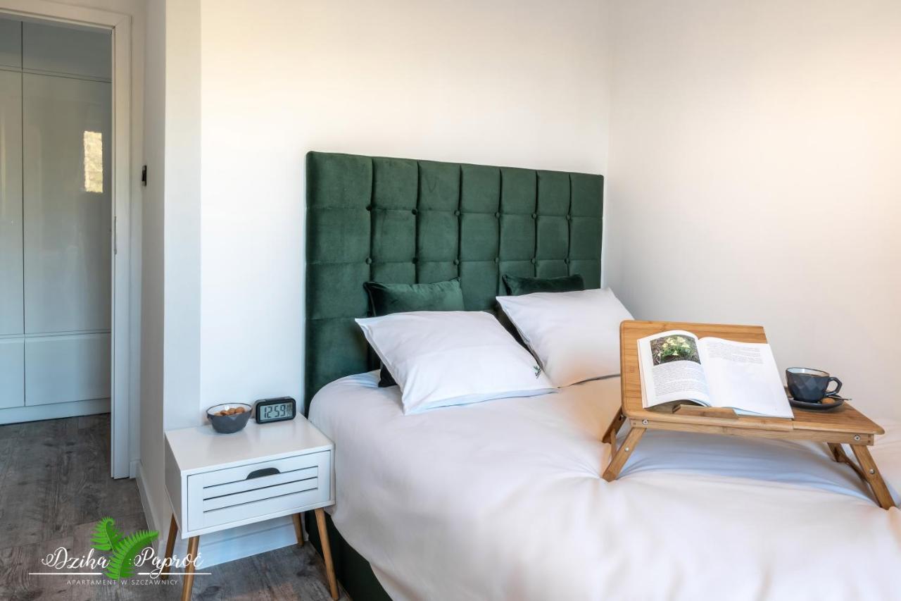 Apartament Dzika Paproc Шавница Экстерьер фото
