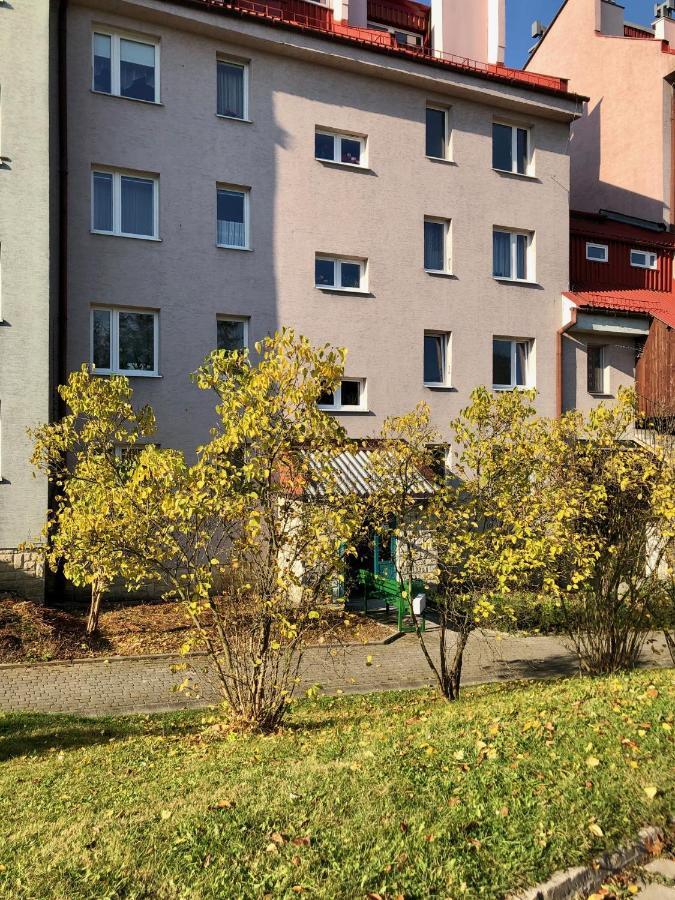 Apartament Dzika Paproc Шавница Экстерьер фото